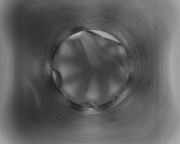 X0000100920285200807221122