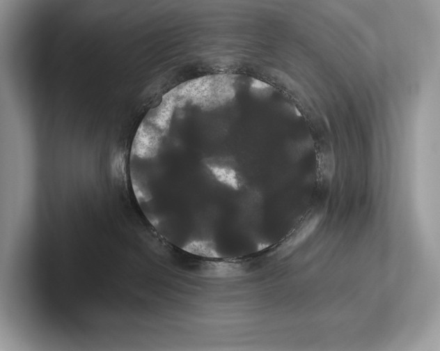 X0000100920286200807221122