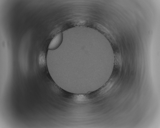 X0000100920287200807221122
