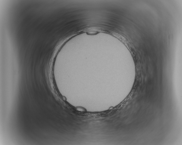 X0000100920289200807221122