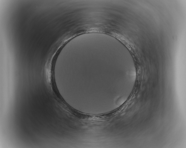 X0000100920290200807221122