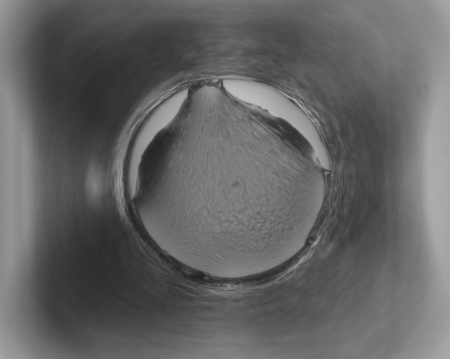 X0000100920293200807221122