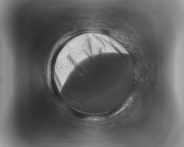 X0000100920294200807221122