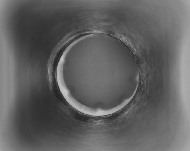 X0000100920295200807221122