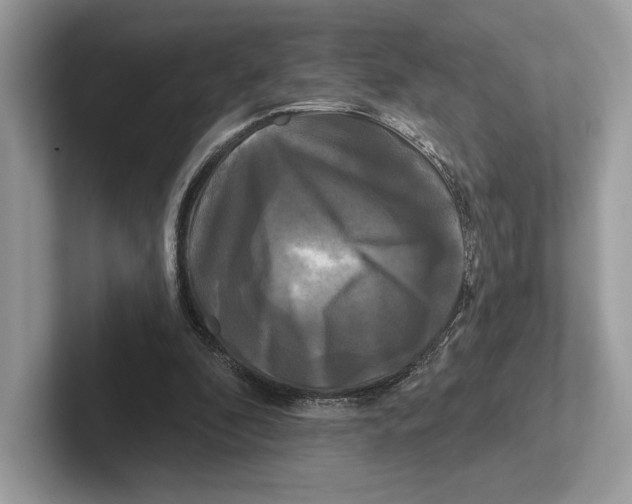 X0000100920296200807221122