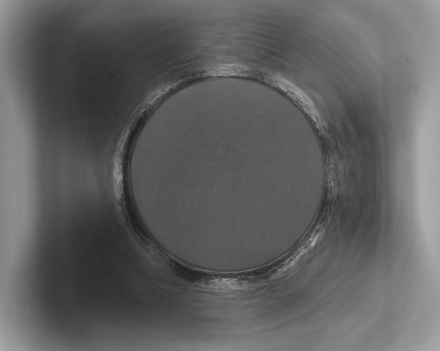 X0000100920298200807221122