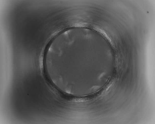X0000100920299200807221122