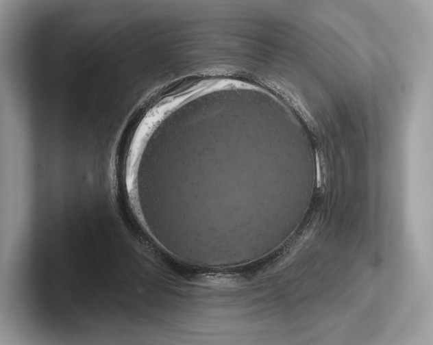 X0000100920300200807221121