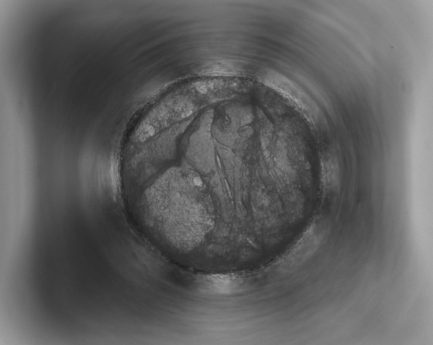 X0000100920302200807221121