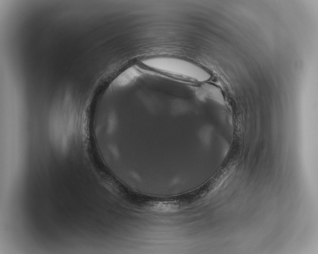 X0000100920303200807221121