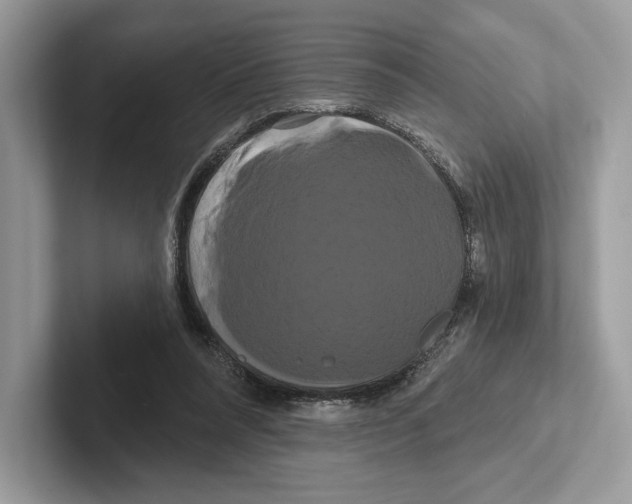 X0000100920304200807221121
