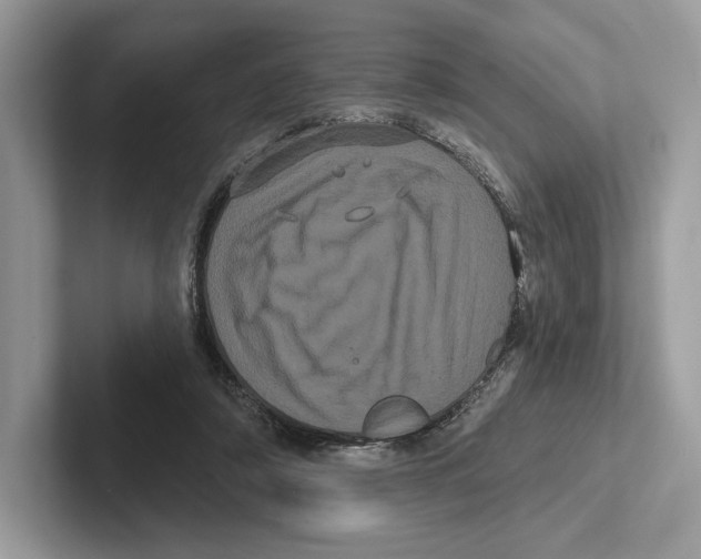 X0000100920306200807221121