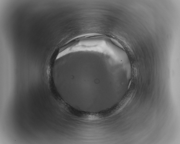 X0000100920308200807221121