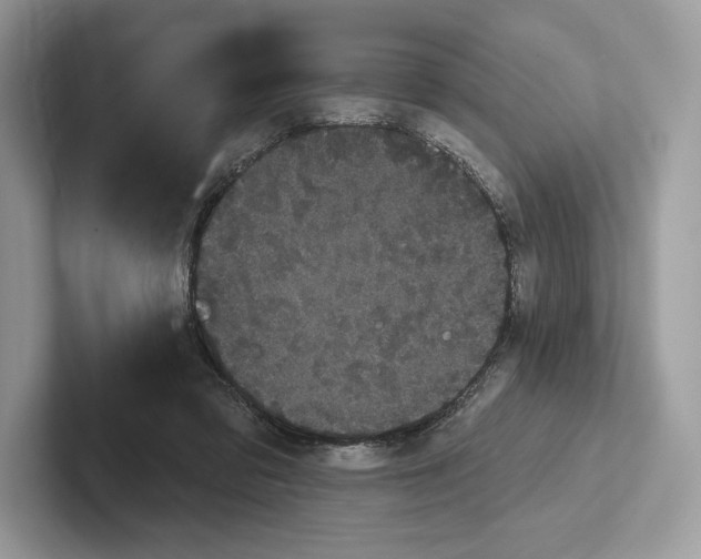 X0000100920309200807221121