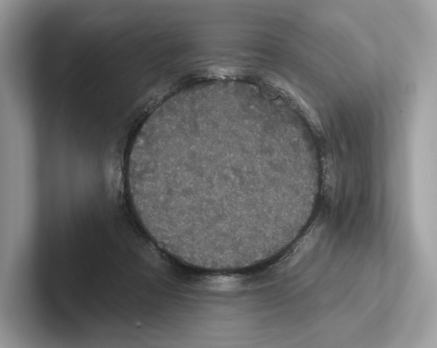 X0000100920313200807221121