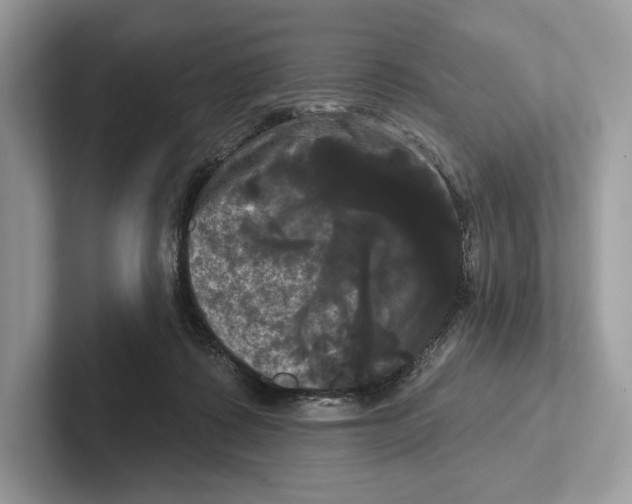 X0000100920315200807221121