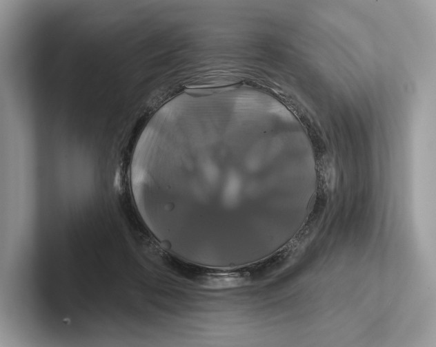 X0000100920316200807221121