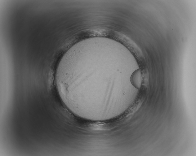 X0000100920318200807221121
