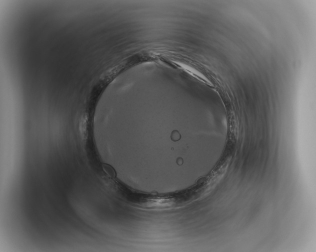 X0000100920319200807221121