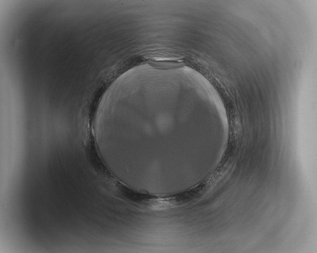 X0000100920320200807221121