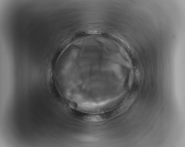 X0000100920322200807221121