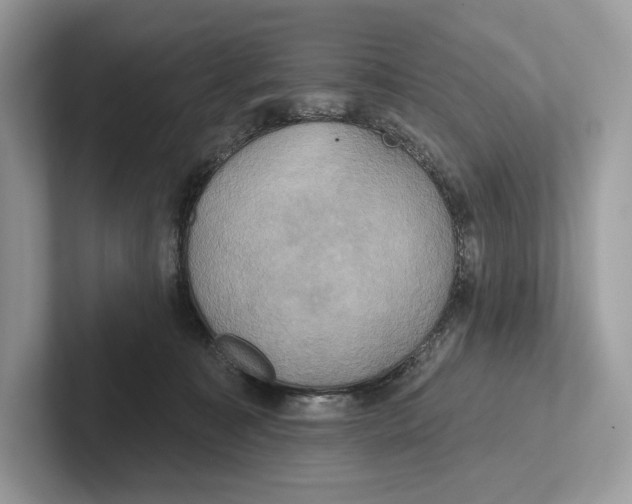 X0000100920323200807221121