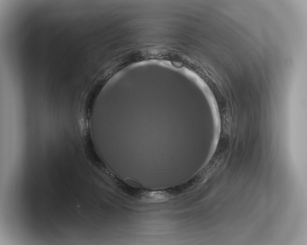 X0000100920324200807221121