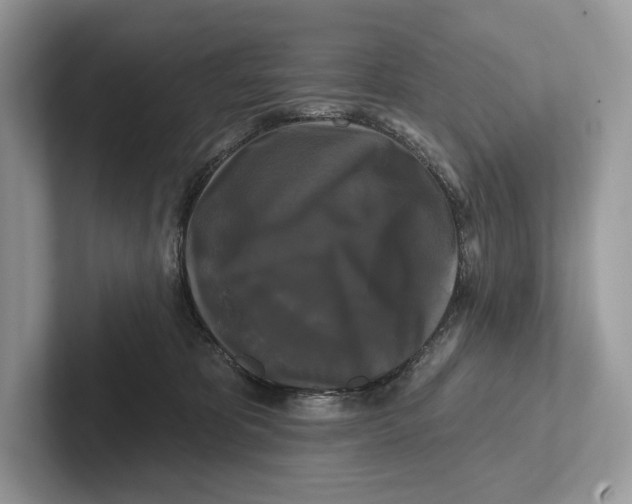X0000100920325200807221121