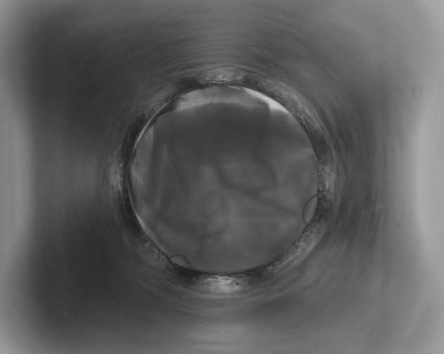 X0000100920326200807221121
