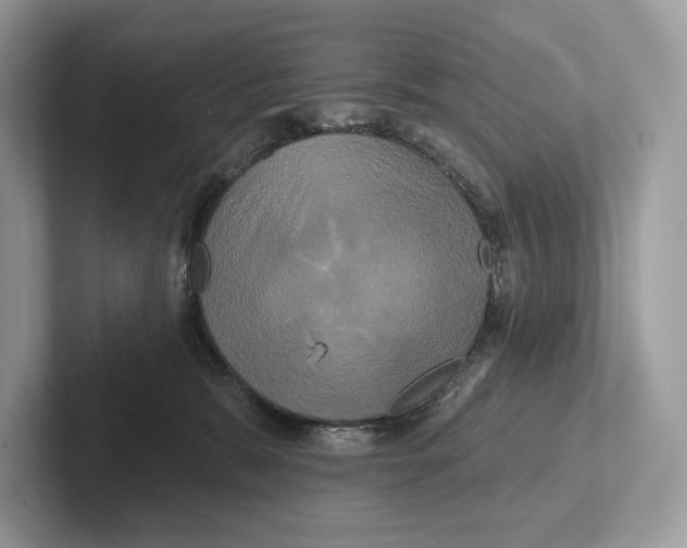 X0000100920327200807221121
