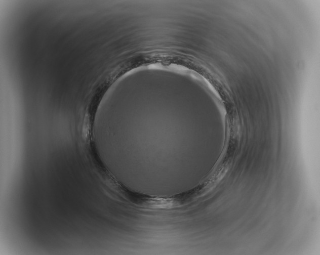 X0000100920328200807221121