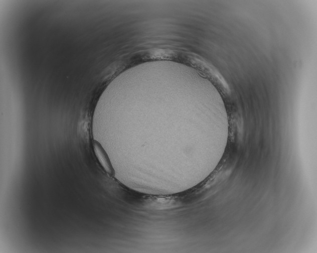 X0000100920329200807221121