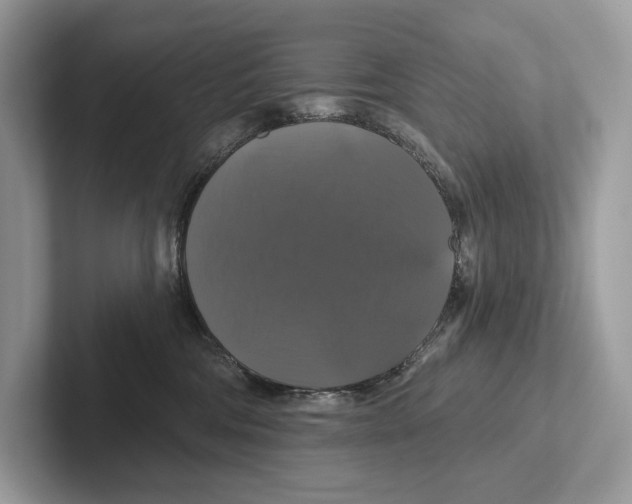 X0000100920330200807221121