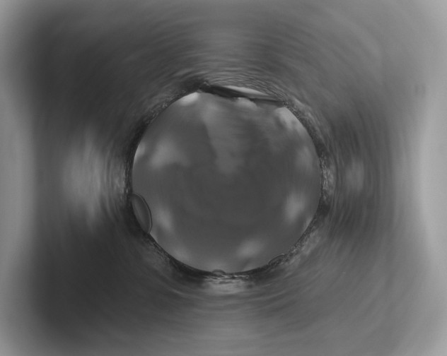 X0000100920331200807221121