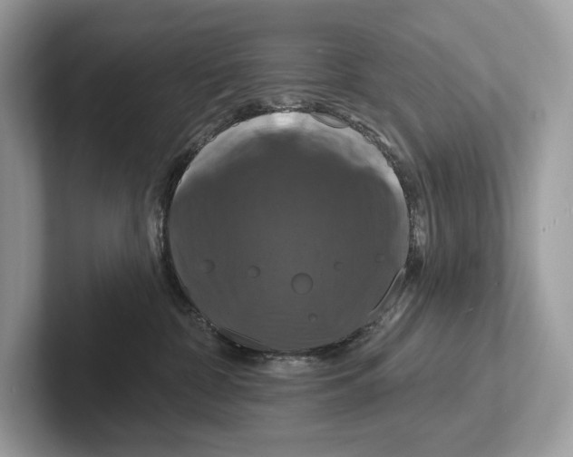 X0000100920332200807221121