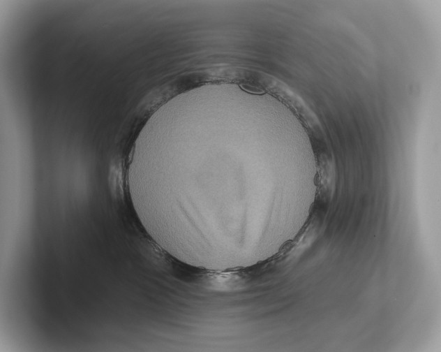 X0000100920333200807221121