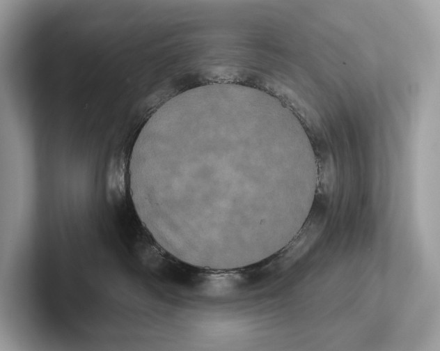 X0000100920334200807221121