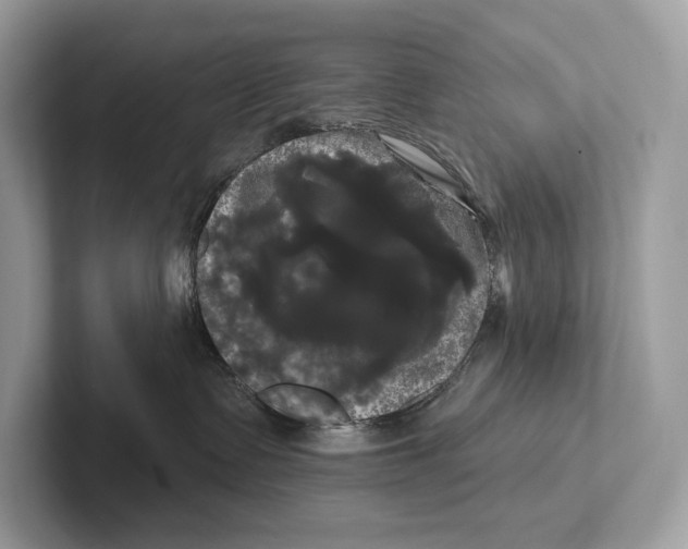 X0000100920335200807221121