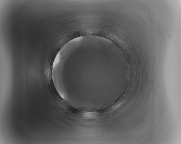 X0000100920336200807221121