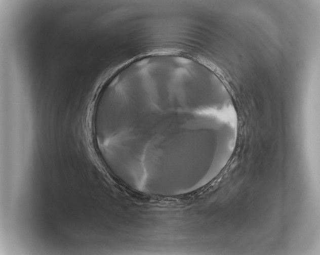 X0000100920337200807221120