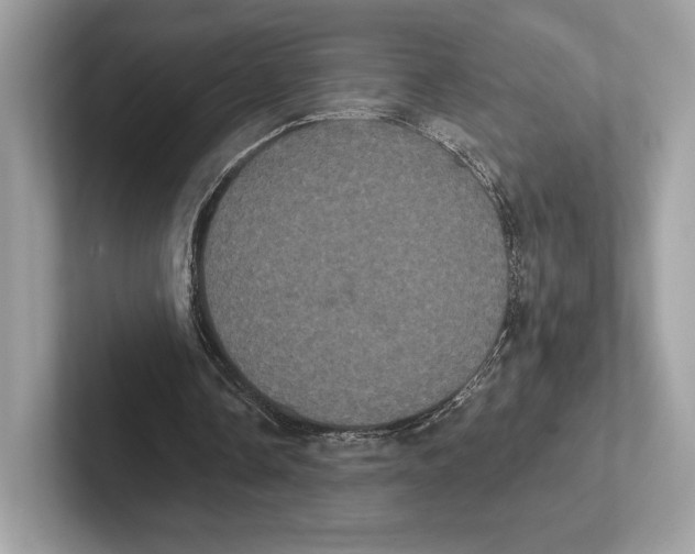 X0000100920338200807221120