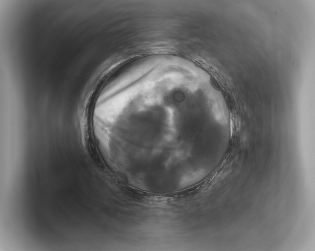 X0000100920339200807221120