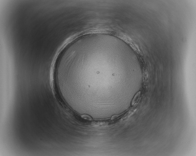 X0000100920340200807221120