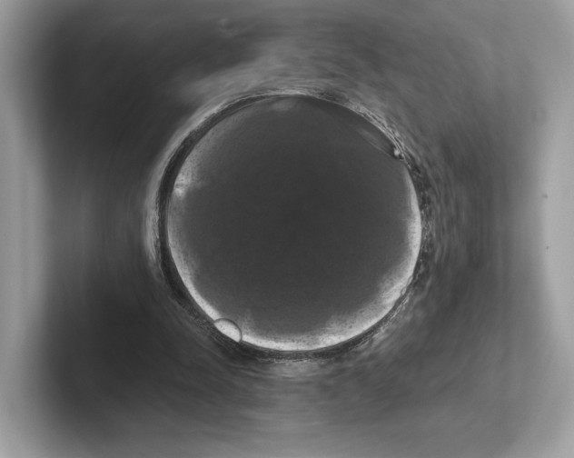 X0000100920342200807221120