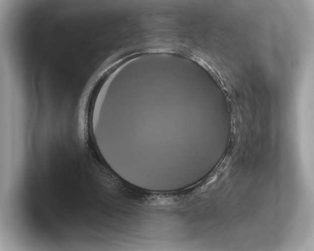 X0000100920343200807221120