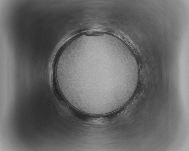 X0000100920344200807221120