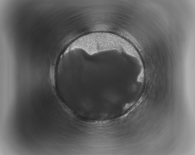 X0000100920345200807221120