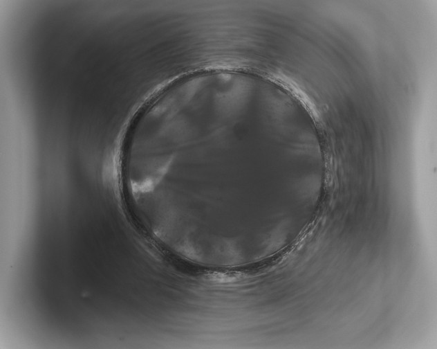 X0000100920346200807221120