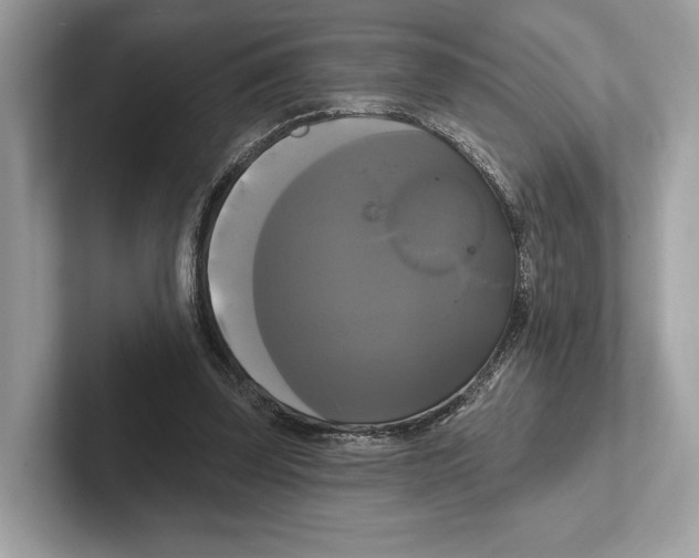 X0000100920347200807221120