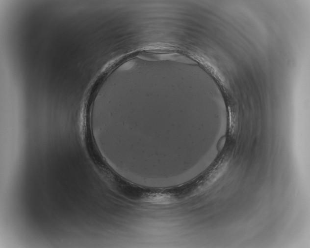 X0000100920348200807221120